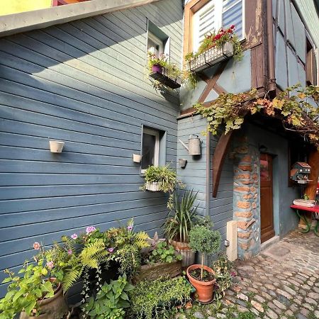Gite Le 70 A Turckheim, 10 Min Colmar Εξωτερικό φωτογραφία